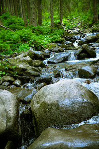 夏季带河的山地峡谷溪流季节环境瀑布石头荒野流动旅行木头岩石图片