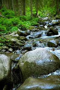 夏季带河的山地峡谷溪流季节环境瀑布石头荒野流动旅行木头岩石图片