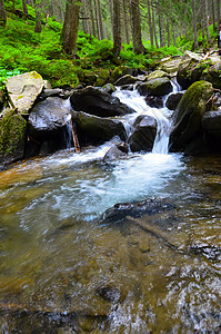 夏季带河的山地峡谷风景苔藓场景流动荒野叶子运动溪流旅行岩石图片