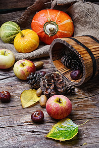 苹果和南南瓜的秋季收获蔬菜季节乡村水果橙子板栗收成葫芦叶子食物图片