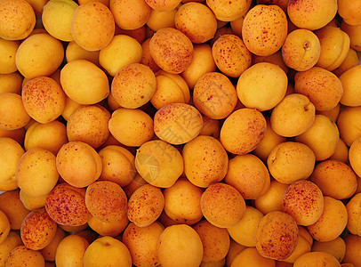 新鲜成熟的杏子背景特写你黄色橙子健康浆果食物红色维生素水果图片