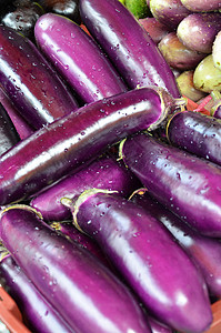 原熟熟蛋类种植店铺植物城市花园食物营养团体生产紫色摊位图片