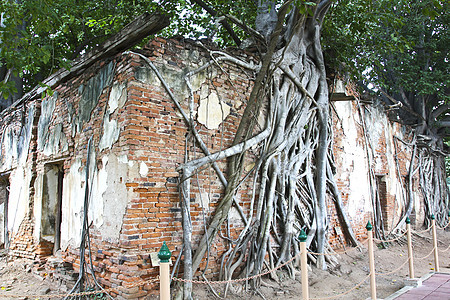 泰国Sang Kratai寺古老的泰国教会森林世界宗教石头地标建筑寺庙民众植物旅行图片