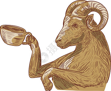 Ram Goat 饮用水咖啡绘画图片