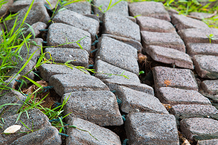 人行道上的砖虫或砌砖虫拍摄角度 i花园材料地面小路水泥街道建筑学岩石季节石头图片