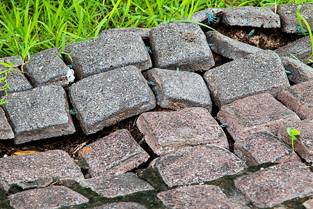 人行道上的砖虫或砌砖虫拍摄角度 i瓦工地面水泥石头季节花园城市小路橙子岩石图片