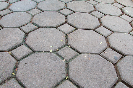 人行道上的砖虫或砌砖虫拍摄角度 i街道材料石头建筑学瓦工水泥橙子花园季节地面图片