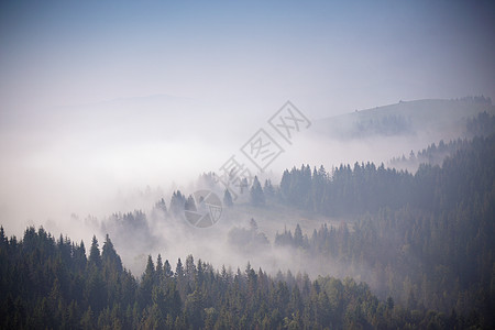 9月秋天 山上大雾的清晨环境山坡森林草垛木头场地薄雾丘陵牧场乡村图片