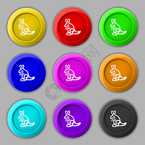 袋鼠图标标志 九个圆形彩色按钮上的符号 韦克托插图商业哺乳动物父母地标艺术野生动物小袋鼠山脉标识图片