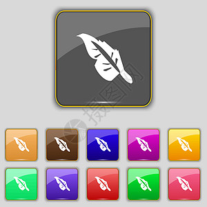 羽毛图标符号 设置为您网站的11个彩色按钮 矢量图片
