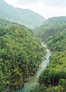 黑山塔拉河峡谷全景树木生态漂流海滩木头旅游蓝色旅行娱乐图片