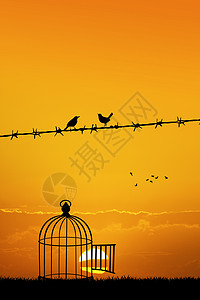 自由飞鸟在铁丝网上鸟笼插图金属快乐黑鸟翅膀日落分支机构图片