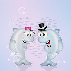 相爱的海豚情侣明信片婚姻海洋哺乳动物夫妻插图配偶庆典婚礼图片