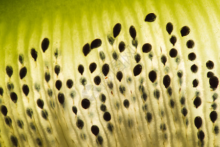 Kiwi 水果切碎肉皮 在亮光背景上进行宏观检查小吃食物宏观热带节食奇异果情调团体异国甜点图片