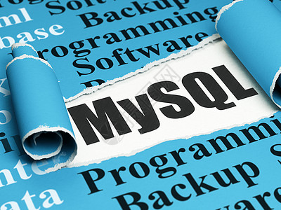 数据库概念 黑文字 MySQL 在撕破纸下面电子笔记贮存叶子网页软件格式硬件脚本程序图片