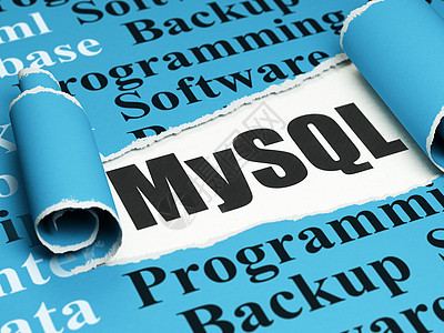 数据库概念 黑文字 MySQL 在撕破纸下面电子笔记贮存叶子网页软件格式硬件脚本程序图片