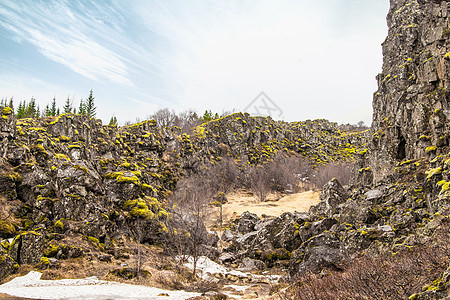 国家公园悬崖上的摩斯图片