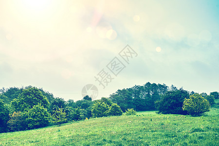 有树木的绿田光束草地国家环境叶子日光天空公园花园射线图片