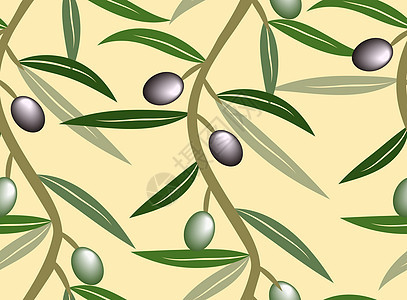 矢量橄榄树分支背景背景图片