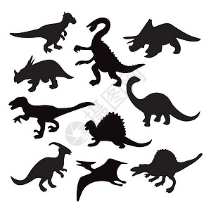 不同的恐龙光影图片