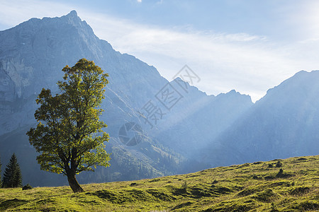 的树山腰乡村风景山脉草地绿色英语蓝色场景高谷图片