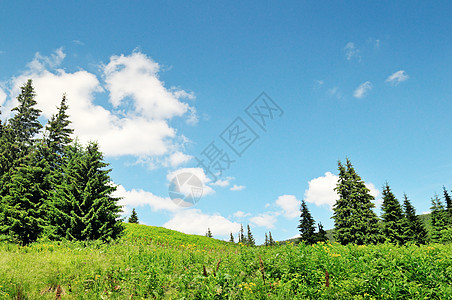 与蓝天相对的风雪山峰爬坡树木高地灌木森林草原顶峰场景草地山坡图片