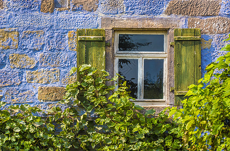 装有窗户和葡萄树的蓝房子墙图片