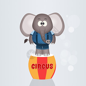 有趣的大象马戏团卡通片荒野插图哺乳动物灰色马戏团娱乐展示闲暇动物图片