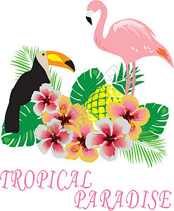 矢量热带热带背景粉色火烈鸟红色植物横幅绿色夫妻叶子菠萝丛林图片