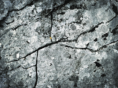 石灰岩的裂缝线图片