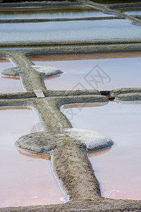 Guerande的盐蒸发池调味品盐度湿地水晶游击队贸易生产工作厨房传统图片