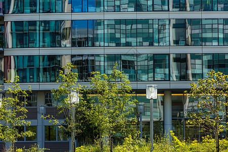 附近树上装饰的巨型玻璃建筑路面晴天建筑学花园太阳反思座位城市线条水泥图片