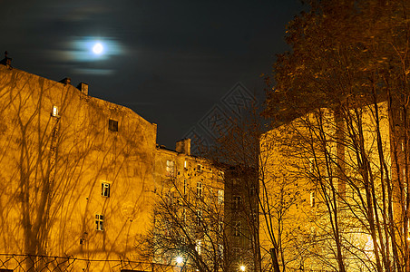 城市 树木和黑夜的月亮图片