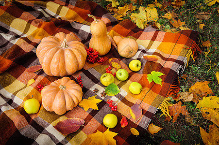 秋天感恩而死的生命浆果季节地面格子黄色浪漫水果背景野餐咖啡杯图片