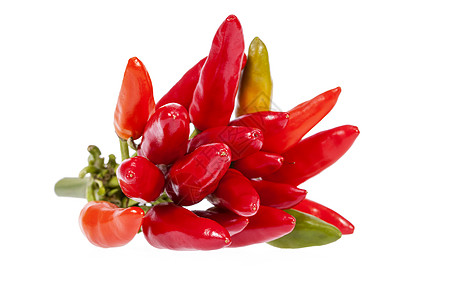 白色背景上孤立的彩色装饰胡椒构成组成Name作品绿色蔬菜食物黄色橙子红色辣椒图片