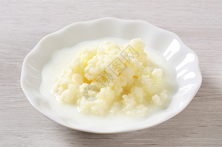 Kefir 牛奶谷物蒂贝丹蘑菇酵母酸奶图片