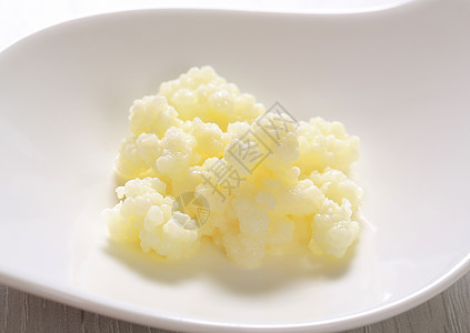 Kefir 牛奶谷物蒂贝丹蘑菇酵母酸奶图片