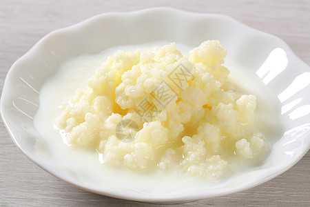 Kefir 牛奶谷物蒂贝丹蘑菇酵母酸奶图片
