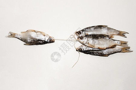 白底白底孤立的干鱼营养腌鱼尾巴鲱鱼工作室茶点淡水盐渍钓鱼熏制图片