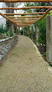 葡萄牙辛特拉森林足迹详情葡萄牙辛特拉木头环境苔藓人行道绿色丛林楼梯小路乡村途径图片