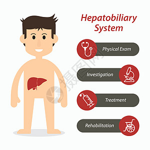 肝胆系统和医疗线 ico图片