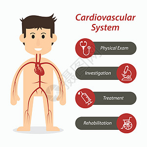 心血管系统及医疗线图示图片