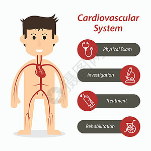 心血管系统及医疗线图示图片