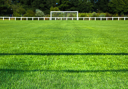 明日的草场和目标海报生长竞赛地面游戏运动草地公园门柱活动晴天图片