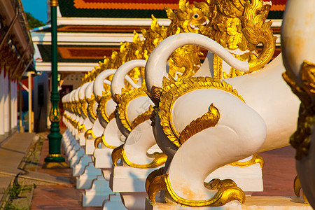 泰国泰国 Wat Pra的雕塑龙天空旅行建筑学密友寺庙雕像蓝色金子艺术文化图片