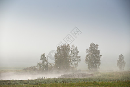 秋秋田和草地 河上雾图片