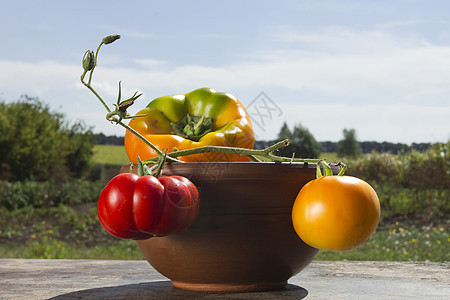 辣椒和西红柿厨房胡椒纤维化合物营养食物桌子陶瓷产品制品图片