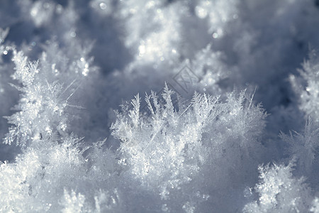 地面上的雪晶蓝色水晶季节雪花天气冻结白色火花地球背景图片