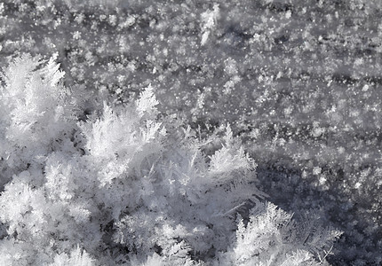 地面上的雪晶水晶火花雪花白色冻结蓝色地球季节天气图片