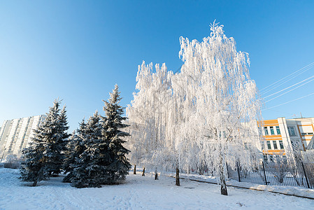 俄罗斯莫斯科市的白雪覆盖了树木天气房子蓝色公园住宅天空晴天城市阴影季节图片